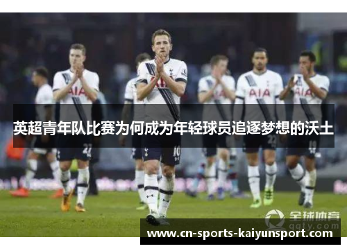 英超青年队比赛为何成为年轻球员追逐梦想的沃土 英超青年队比赛为何成为年轻球员追逐梦想的沃土