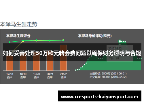 如何妥善处理50万欧元转会费问题以确保财务透明与合规 如何妥善处理50万欧元转会费问题以确保财务透明与合规
